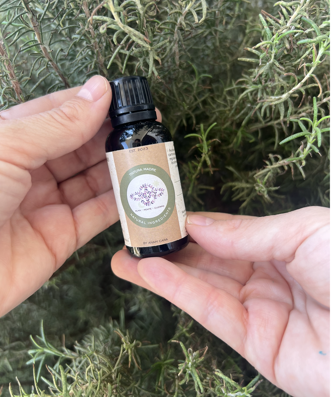 Tintura madre de Salvia